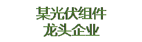 某光伏組件龍頭企業(yè)